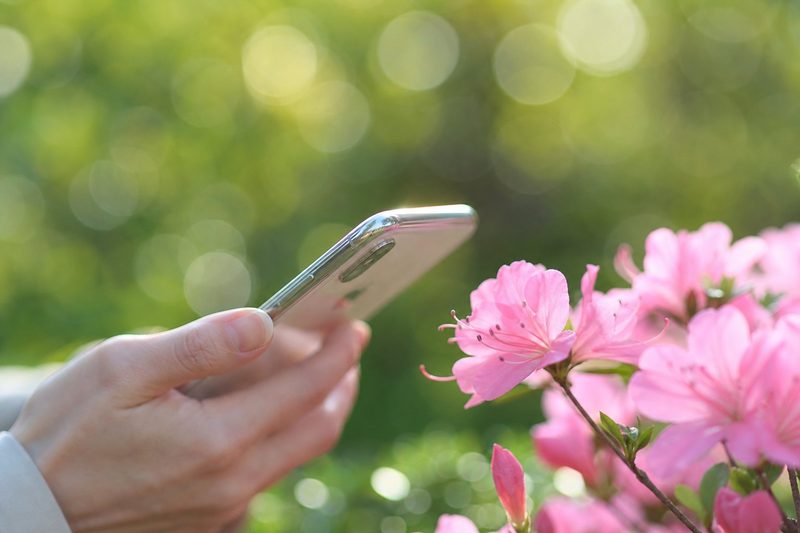 背景をふんわりぼかす3つの条件