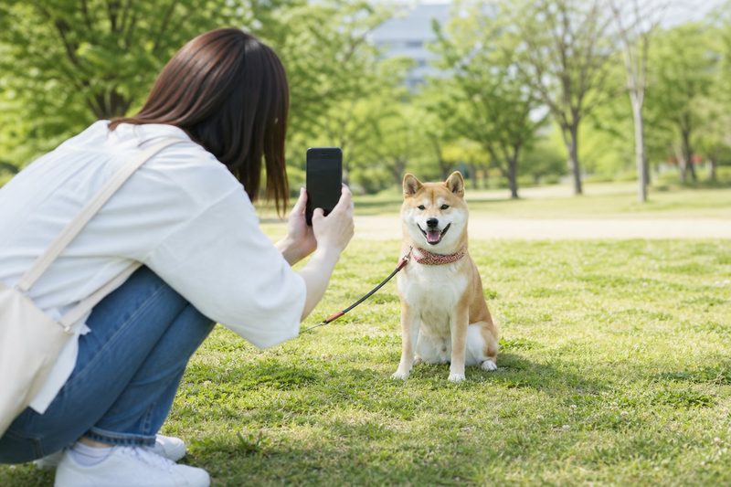 ペット写真は「目線の高さ」と「連写」で決まる